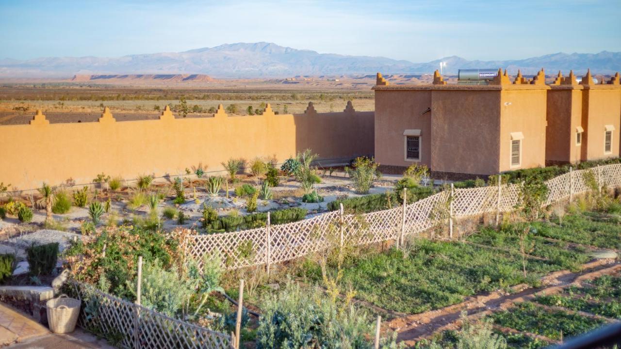 Ecolodge L'Ile De Ouarzazate Exterior photo